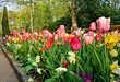 Easy Garden Border Ideas for Beginners