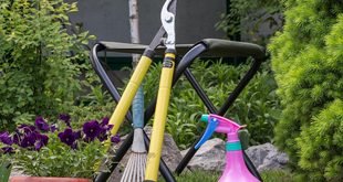Best Gardening Tools for Beginners With Small Gardens