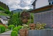 Best Low Maintenance Plants for a Small Front Yard