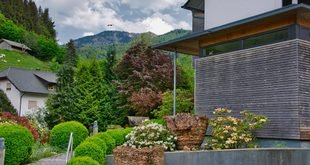 Best Low Maintenance Plants for a Small Front Yard