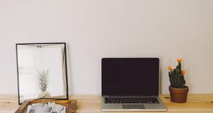 Best Plants for a Small Home Office Desk